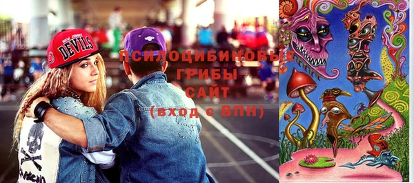 ГАЛЛЮЦИНОГЕННЫЕ ГРИБЫ Алексеевка