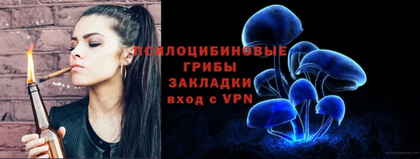 ГАЛЛЮЦИНОГЕННЫЕ ГРИБЫ Алексеевка