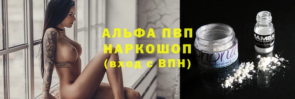 крисы Алексин