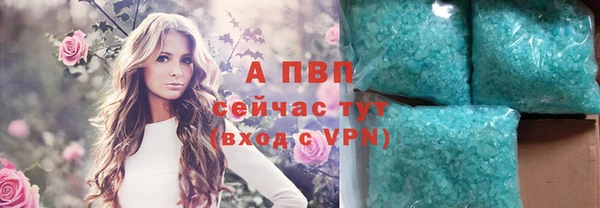 крисы Алексин