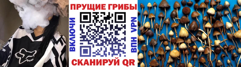 ОМГ ОМГ зеркало  Ардон  Псилоцибиновые грибы ЛСД  что такое  